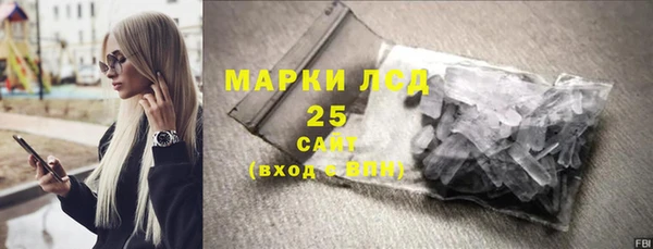 твердый Бородино