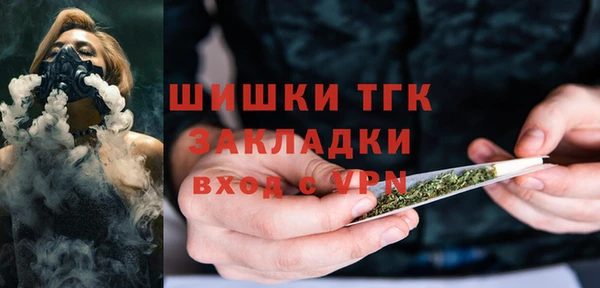 твердый Бородино