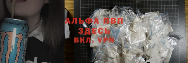 твердый Бородино