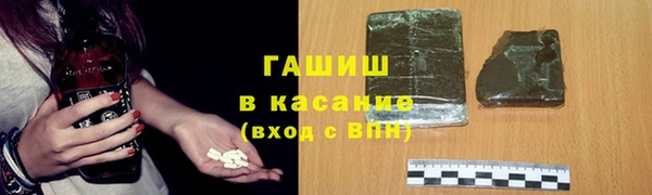 твердый Бородино