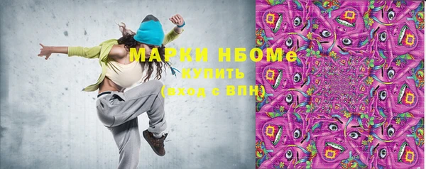 твердый Бородино