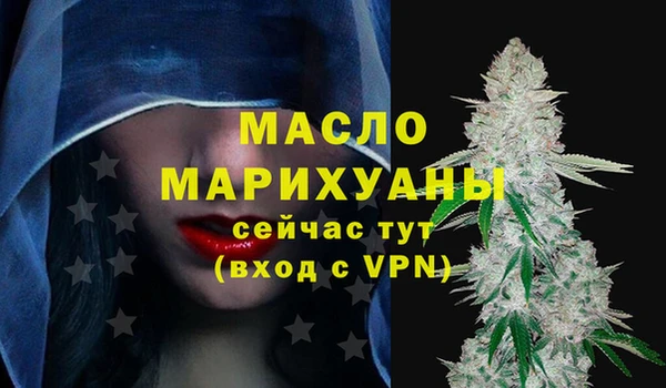 твердый Бородино
