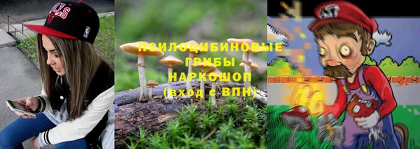 дмт Бугульма