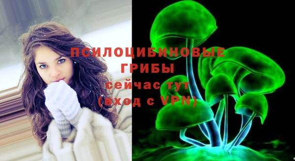 дмт Бугульма
