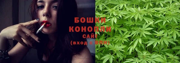 твердый Бородино