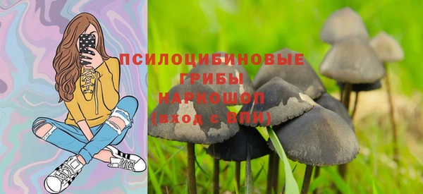 твердый Бородино