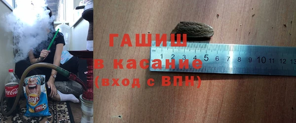 твердый Бородино